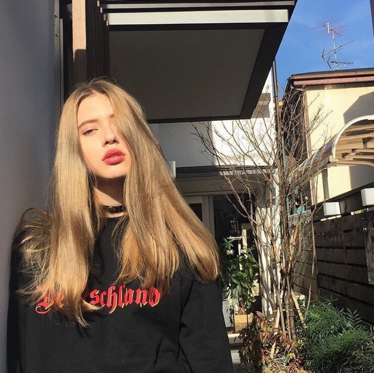 抖音代举报平台