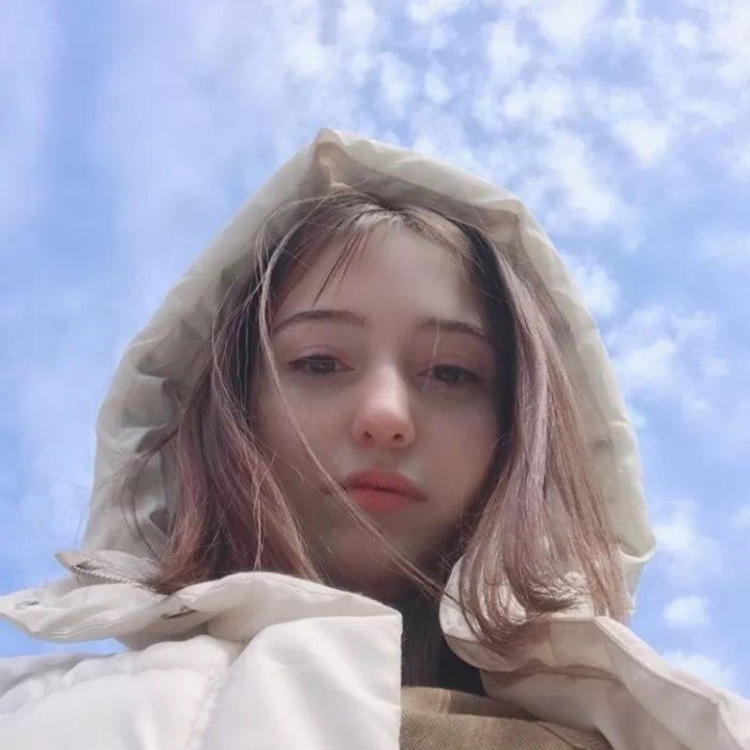 小森林素材铺 第70张.jpg